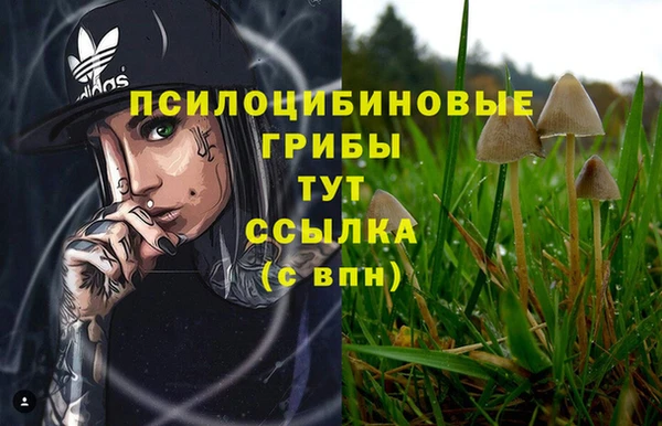 таблы Бородино