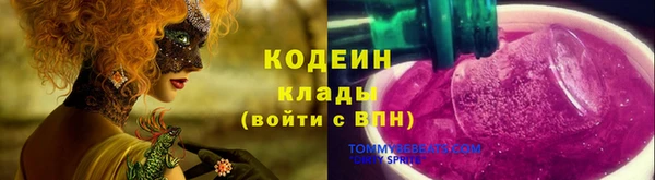 таблы Бородино