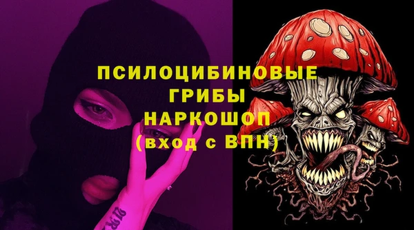 ПСИЛОЦИБИНОВЫЕ ГРИБЫ Бронницы