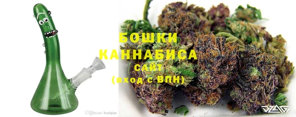 таблы Бородино