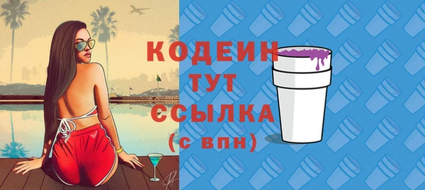 таблы Бородино